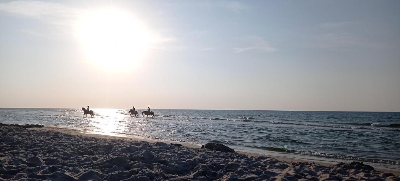 Private Seaside Home 사시노 외부 사진